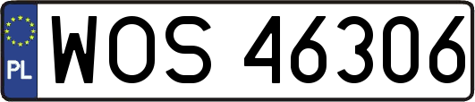 WOS46306