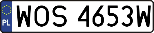 WOS4653W