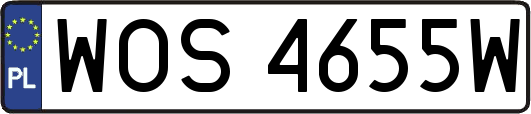 WOS4655W