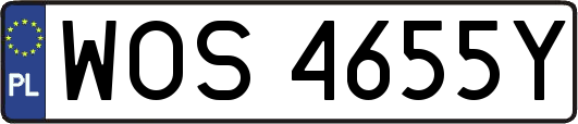 WOS4655Y