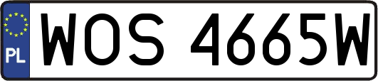 WOS4665W