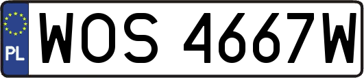 WOS4667W
