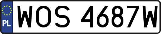 WOS4687W