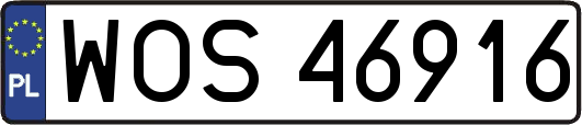 WOS46916