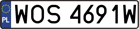 WOS4691W