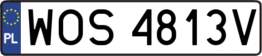 WOS4813V
