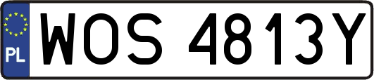 WOS4813Y
