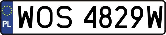 WOS4829W