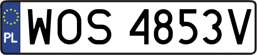 WOS4853V