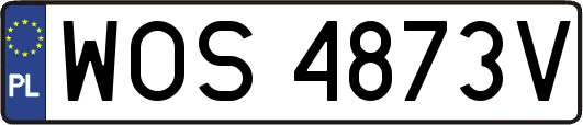 WOS4873V