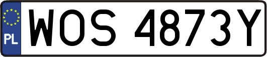 WOS4873Y