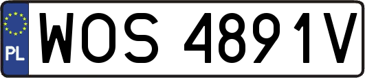 WOS4891V