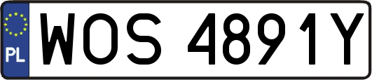 WOS4891Y