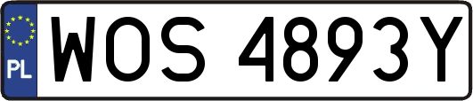 WOS4893Y
