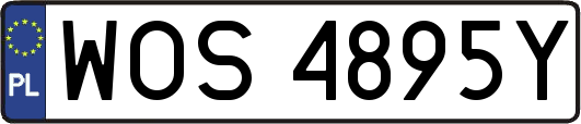 WOS4895Y