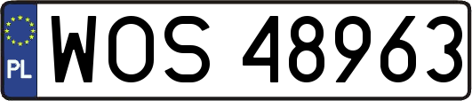 WOS48963