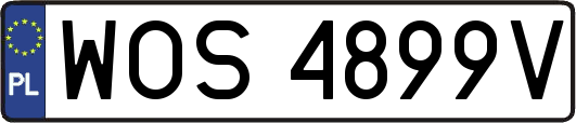 WOS4899V