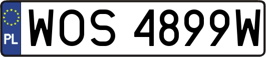 WOS4899W