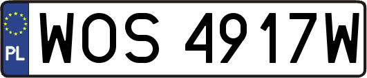 WOS4917W