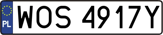 WOS4917Y