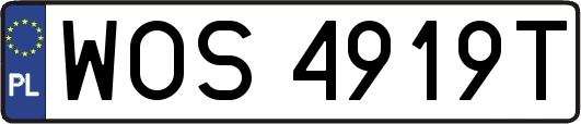 WOS4919T