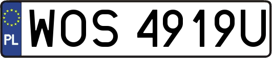 WOS4919U
