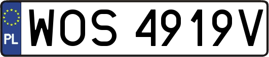 WOS4919V