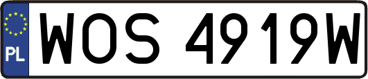 WOS4919W