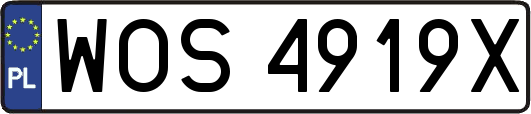WOS4919X