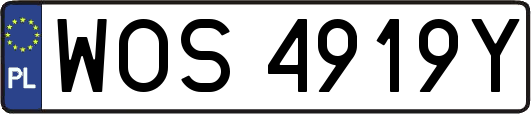 WOS4919Y