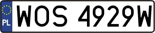 WOS4929W