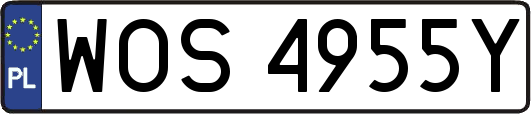 WOS4955Y