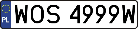 WOS4999W