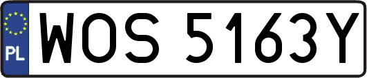 WOS5163Y