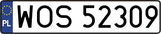 WOS52309