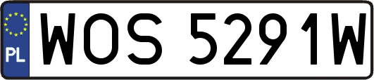WOS5291W