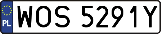 WOS5291Y