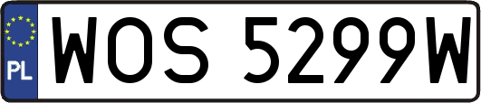 WOS5299W