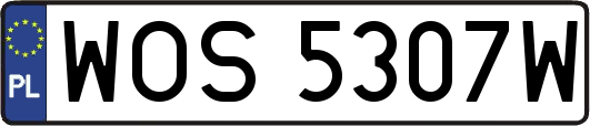 WOS5307W