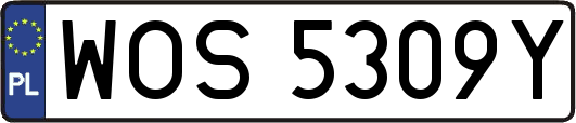 WOS5309Y