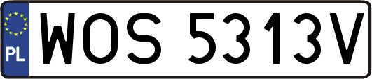 WOS5313V