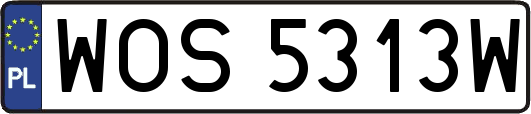 WOS5313W