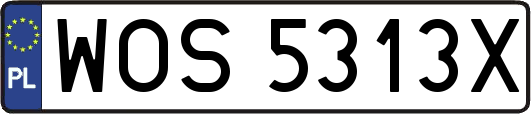 WOS5313X