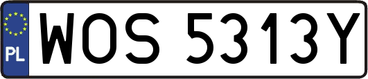 WOS5313Y