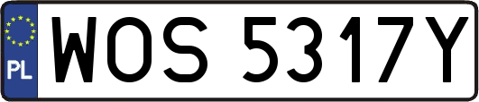 WOS5317Y