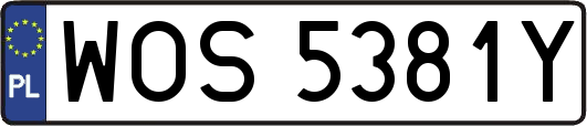 WOS5381Y