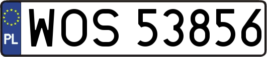 WOS53856