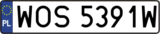 WOS5391W