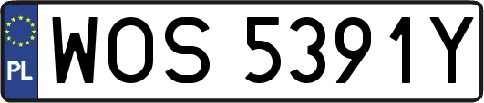 WOS5391Y