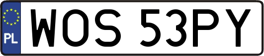 WOS53PY